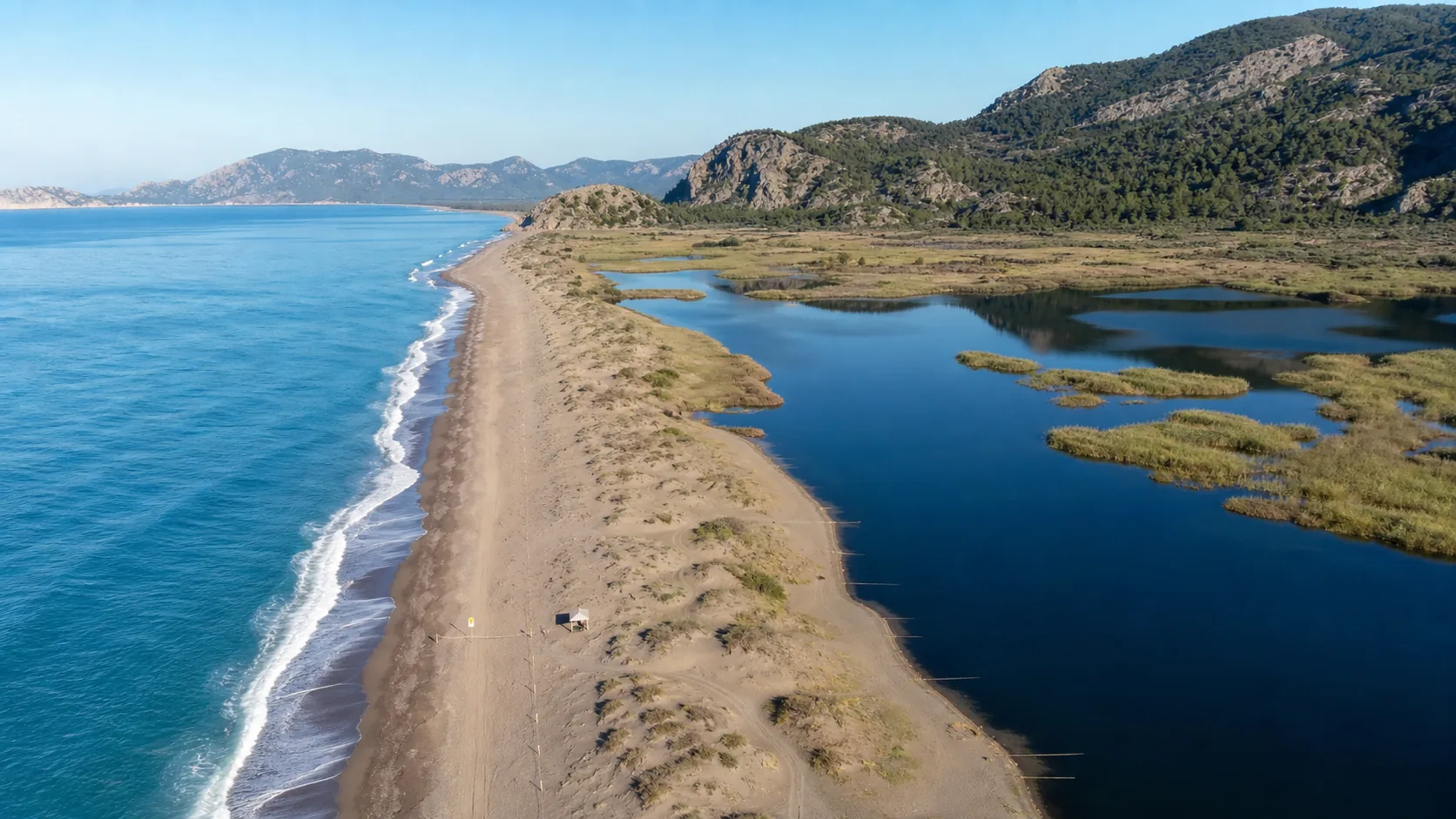 Ekosystem Plaży Iztuzu: Dlaczego Mierzeja Znaczy Więcej niż Żółwie