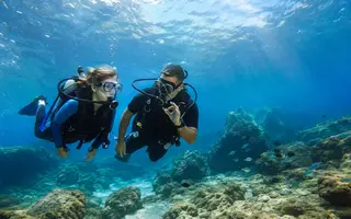 Scuba Diving Experience — tour photo 1